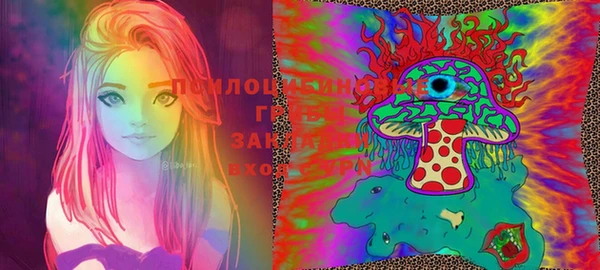 бошки Алексин