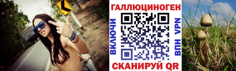 Псилоцибиновые грибы мухоморы  MEGA ONION  Курск 
