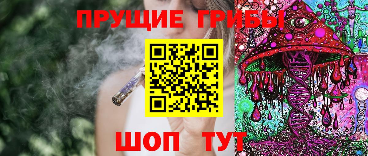 купить  сайты  Галлюциногенные грибы Cubensis  Вход с VPN  Курск 